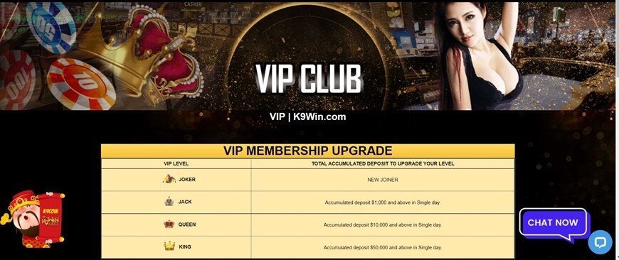 K9Win | Bring The Amazing Singapore Casino Paradise For You 1 VIP customer mode is taken care of the fastest