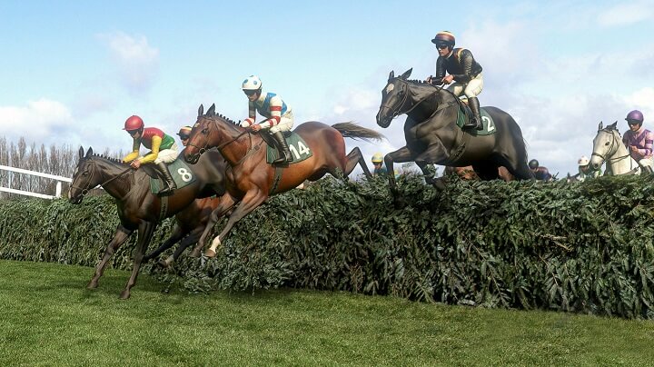 What Is Virtual Horse Racing? How Can You Wager On It? 1 What sport was called The Royal Sport