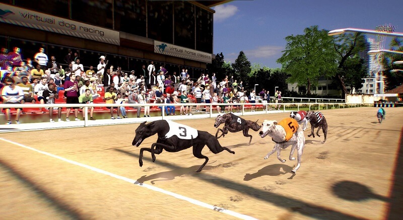 Virtual Dog Racing | What Is It? How Can You Place A Wager On It? 4 Betting on virtual dog racing with many promotions