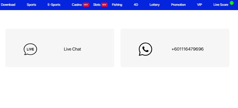 96M Bookie – Reputable Online Betting Site with quality service 6 Enthusiastic consulting team is always available 24/24
